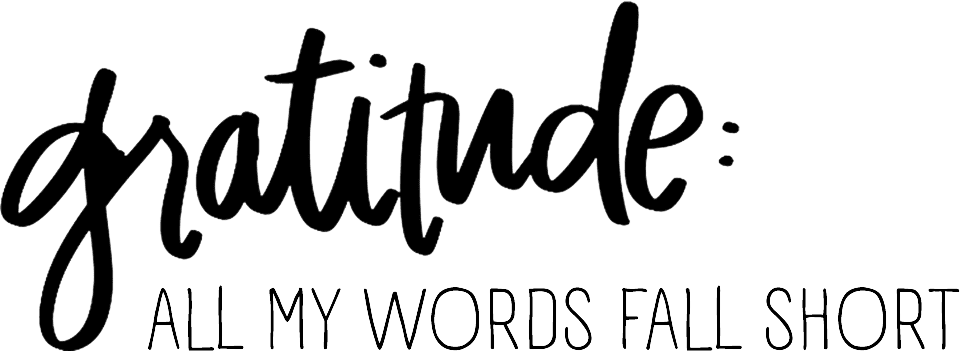 Handwritten-style typography reading "gratitude: ALL MY WORDS FALL SHORT" - sermon series or worship graphic