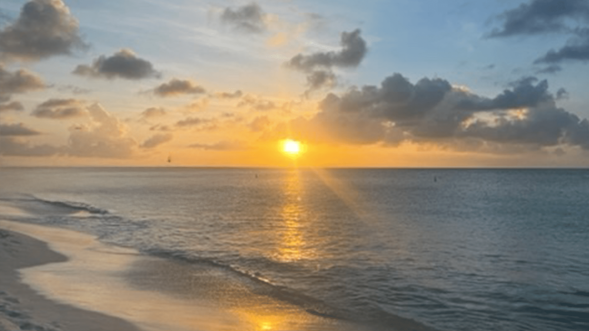 aruba-sunset Dark image of a strand of DNA with the title "The DNA of a Disciple"